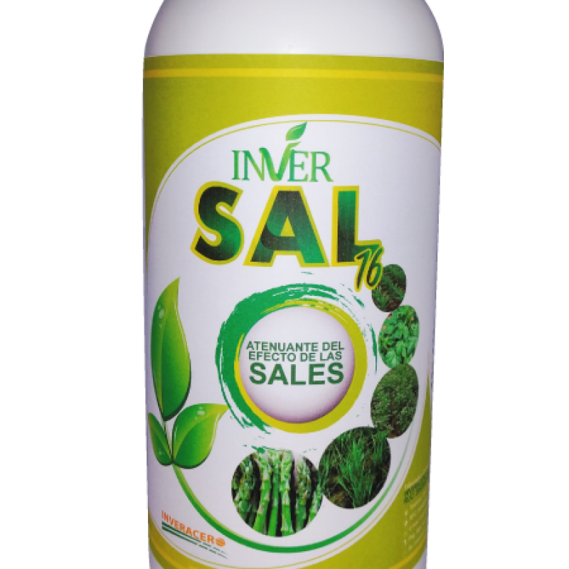 INVER-SAL GRANDE